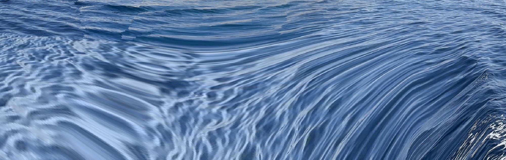 Jorge Juarez Machorro